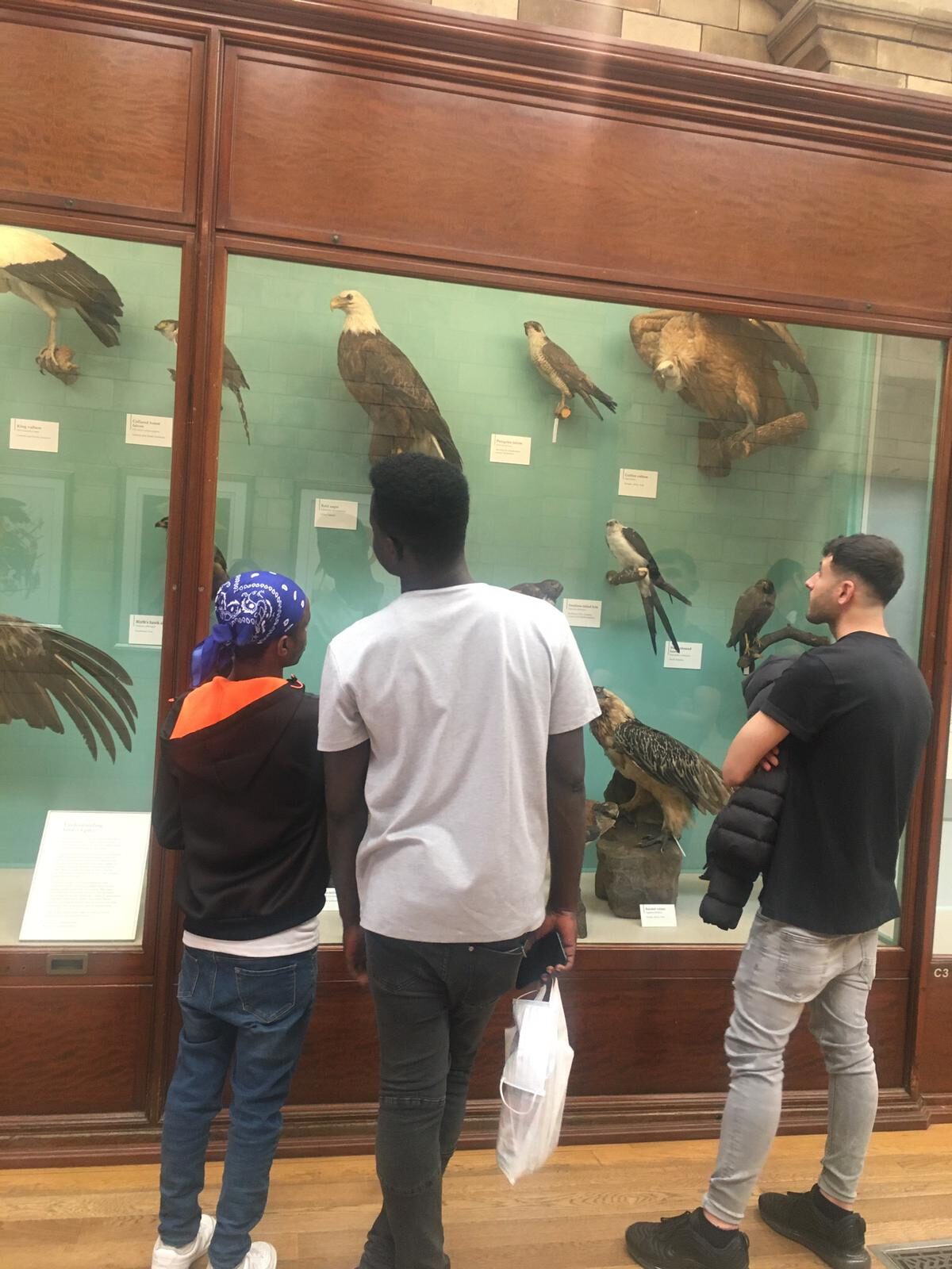 A group visit to a museum
